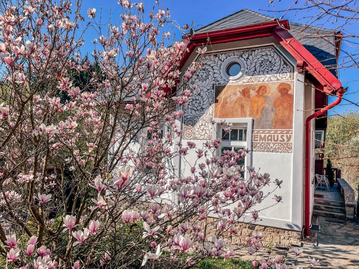 Villa Emausy Luhačovice エクステリア 写真